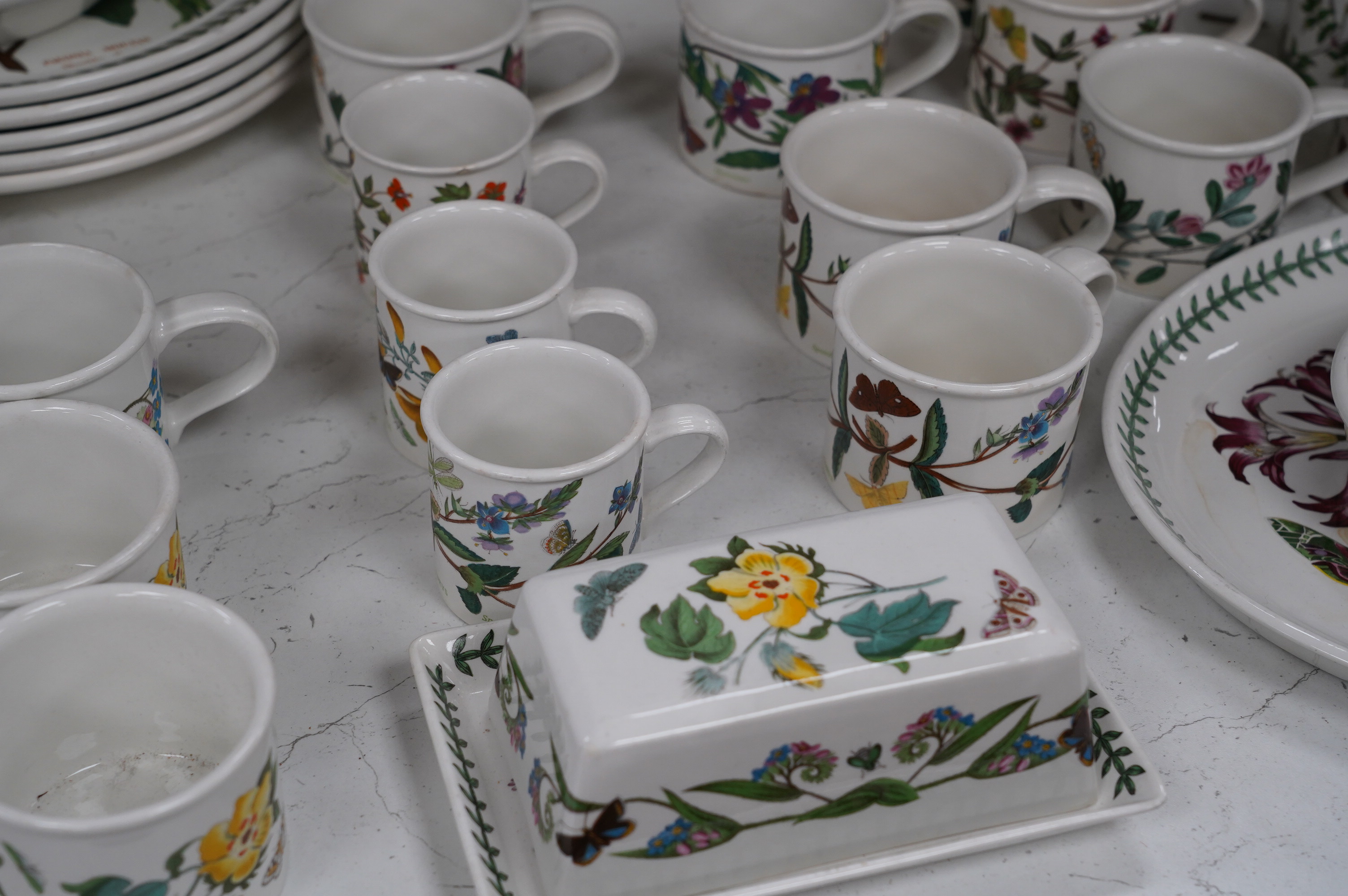 A mixed quantity of Portmeirion Botanic Garden tea, coffee and dinner wares, including a teapot, jugs, cups, plates, dishes, Jardene, etc. Condition - fair to good